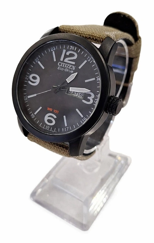 Ceas Citizen Eco-Drive WR100 – Day-Date, curea textilă