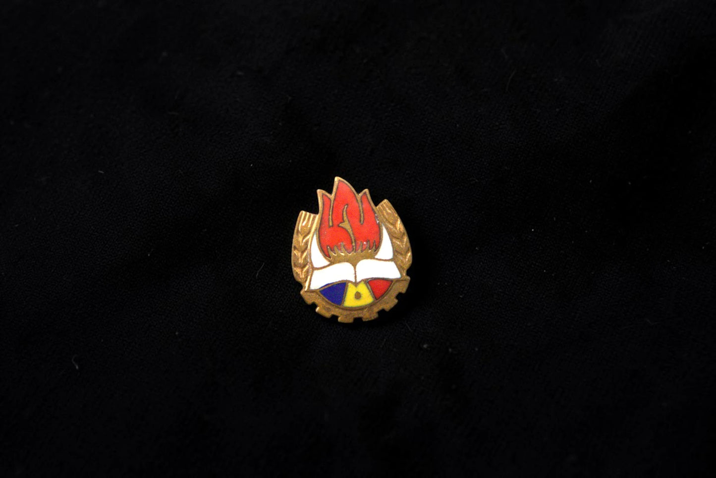 Insignă Pionieri România – Emblemă Originală