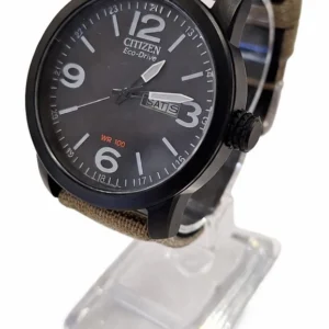 ceas citizen eco drive wr100 day date curea textil focsani